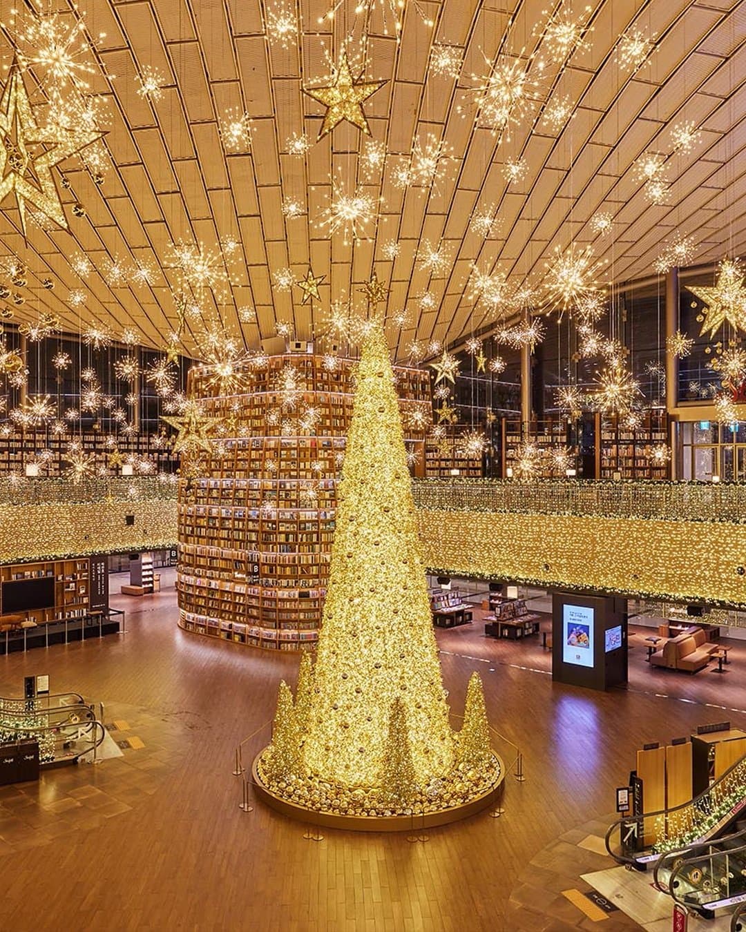 Starfield Library | Instagram @starfield.library