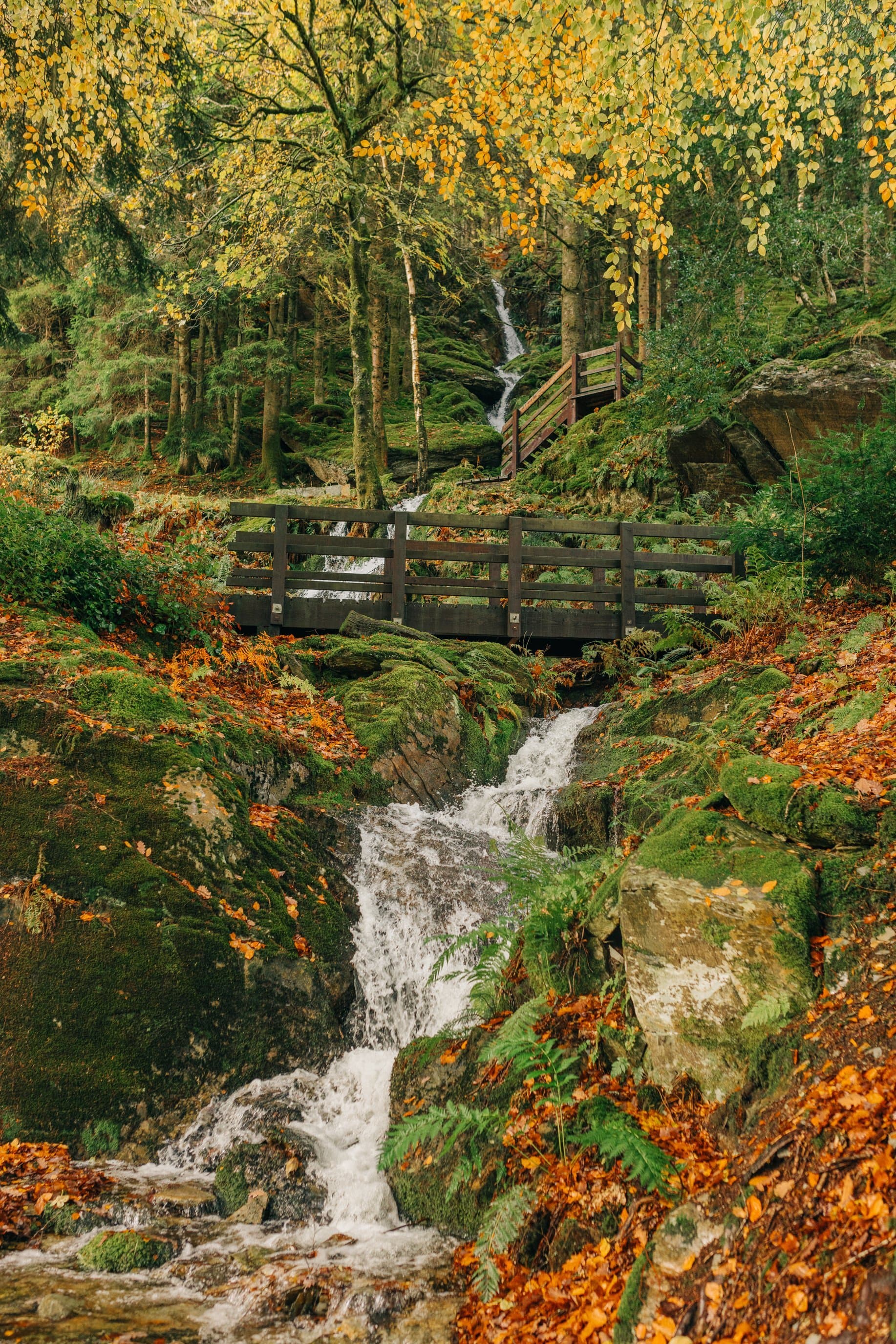 Фото: anandaspa.com